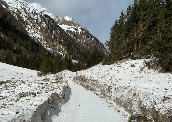 Gebirgshof Salomon بيت للعطل *