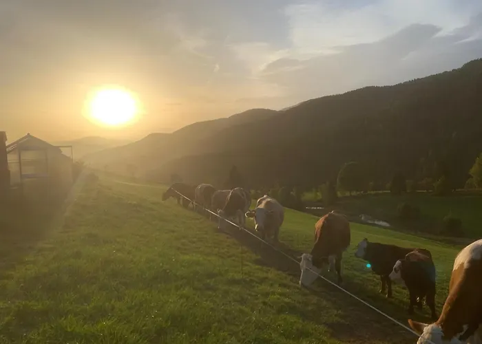 بيت للعطل Gebirgshof Salomon Krakaudorf