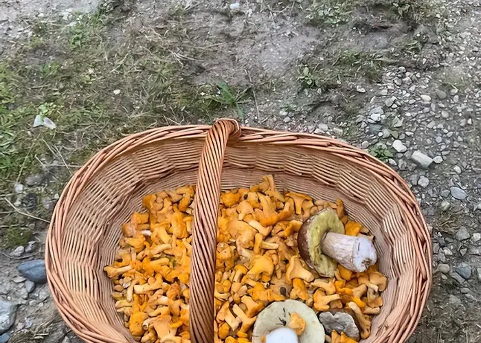 بيت للعطل Gebirgshof Salomon *