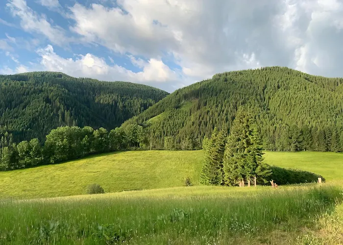 بيت للعطل Gebirgshof Salomon *